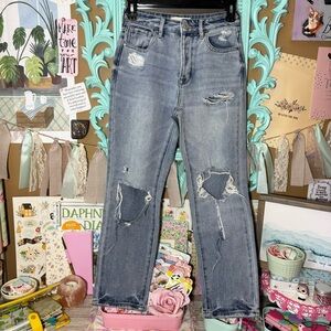 Pacsun Denim Mom Jean Sz.23 Distressed Four Button Front Grunge Destroyed Skater